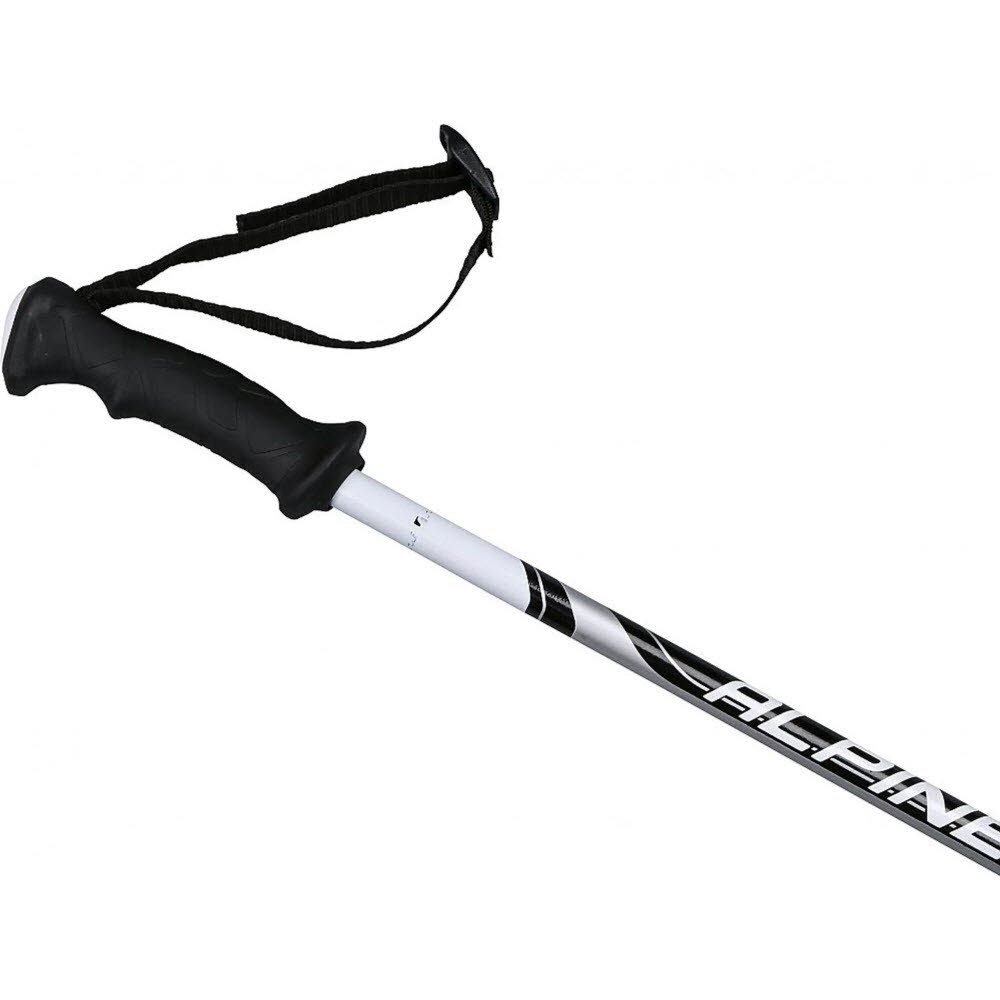 ALPINE PRO 2.0 Skistock,schwarz-sil