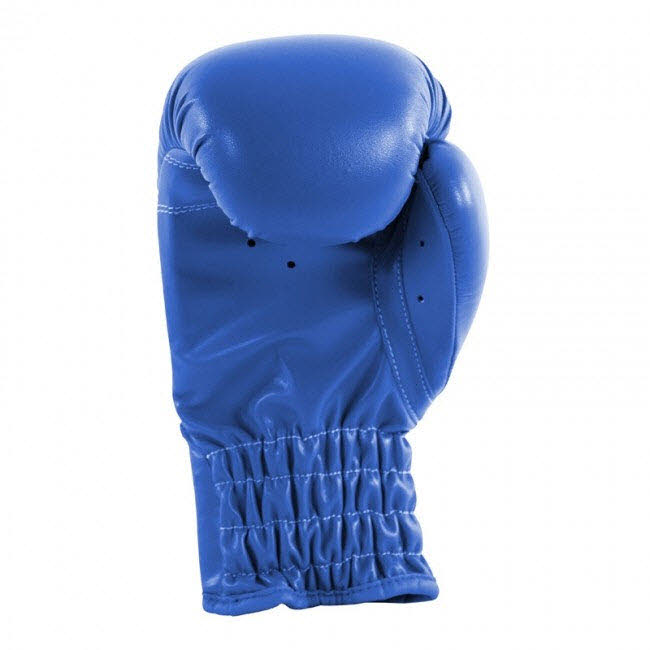 ROOKIE-2 Boxing Glove