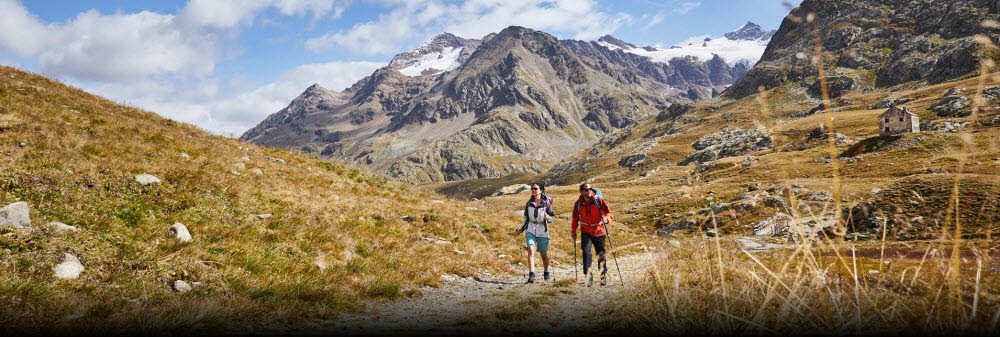 FLEX Jacket M,red clay