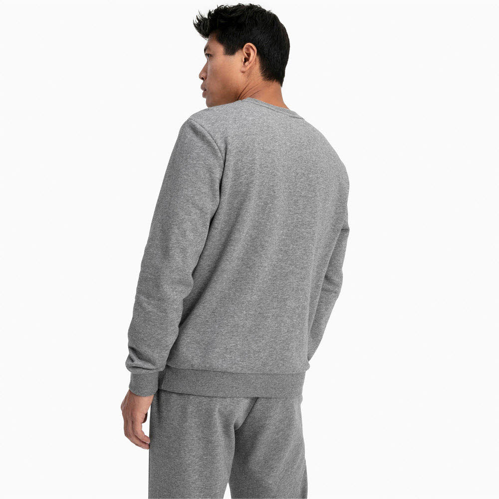 ESS Logo Crew Sweat TR big