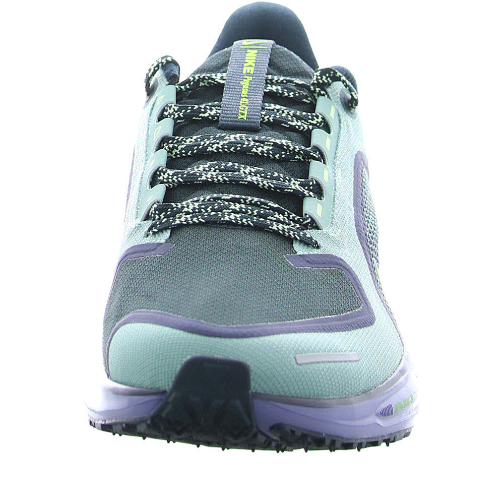 Nike Pegasus 41 GORE-TEX Men"s