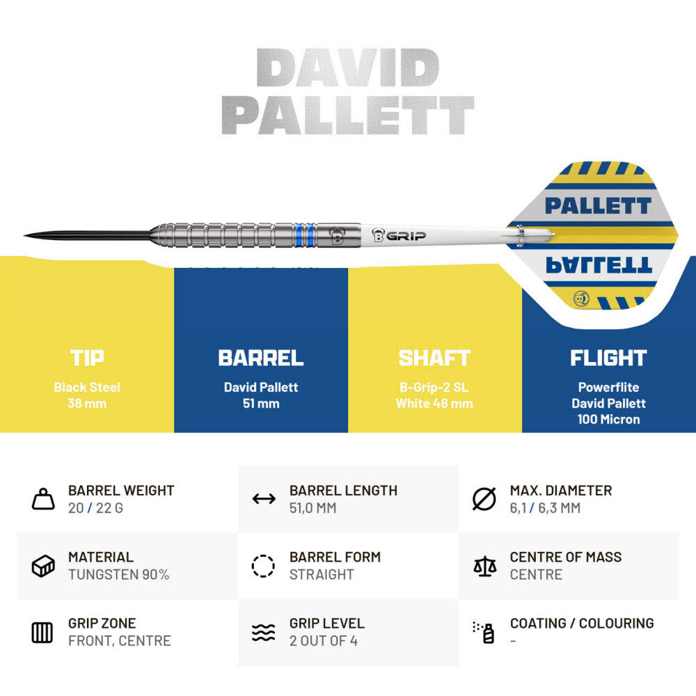 BULL'S David Pallett Steel Dart
