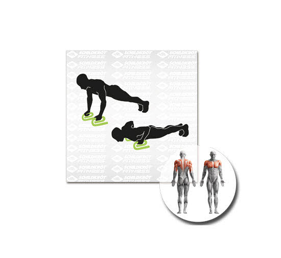 SK Fitness PUSH-UP BARS