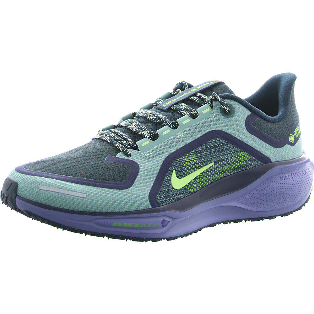 Nike Pegasus 41 GORE-TEX Men"s