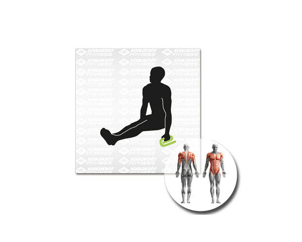 SK Fitness PUSH-UP BARS