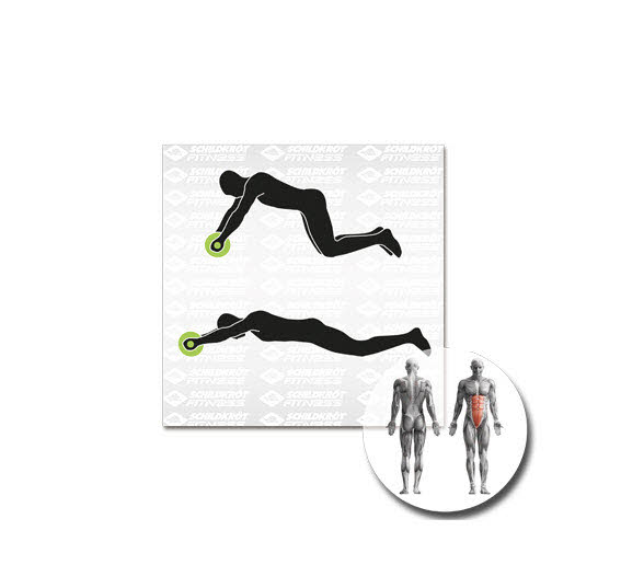 NOS SK Fitness AB-Roller Bauchtrai