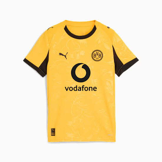 BVB Cup Jersey Replica Jr